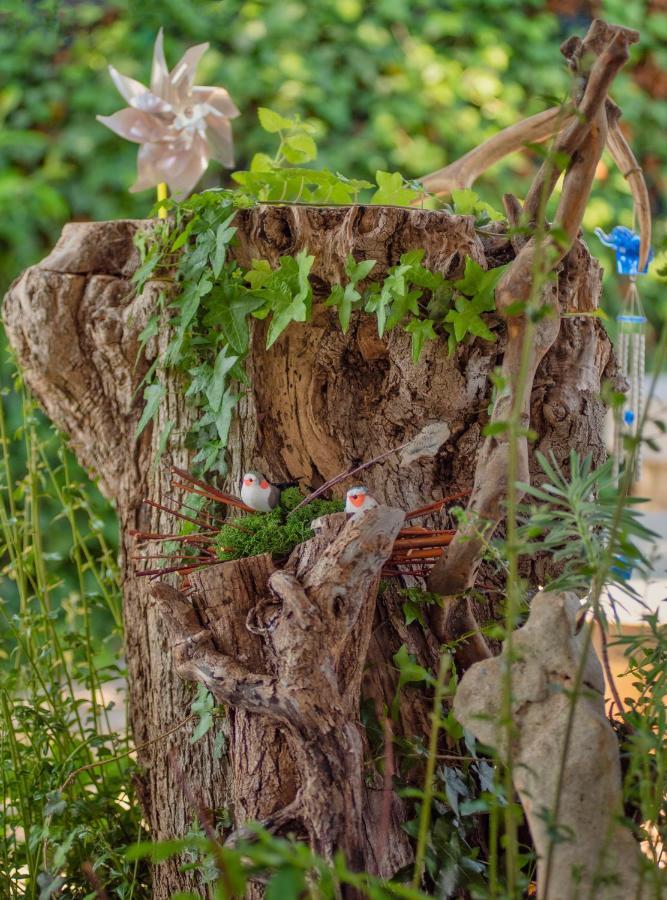 Studio App Luka-We Love Nature. Sveti Ivan  Extérieur photo